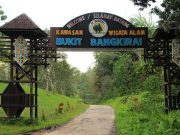 Samboja Barat: Gerbang Wisata Baru di Kaki IKN Kalimantan Timur