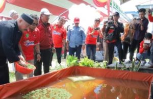 Inovasi Kolam Filter DKP Kukar Atasi Krisis Air untuk Budidaya Ikan
