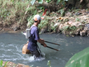 DKP Kukar Perangi Penyetruman Ikan: Keseimbangan Ekosistem dan Kesejahteraan Nelayan