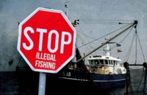 DKP Kukar Perkuat Koordinasi Penanganan Ilegal Fishing di Laut