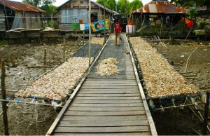 DKP Kukar Luncurkan Inisiatif Pemberdayaan Nelayan untuk Tingkatkan Kesejahteraan