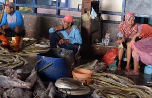 Kutai Kartanegara Raih Produksi Perikanan 250 Ribu Ton per Tahun