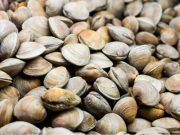 Kerang Kukar Makin Diminati, Target Pasar Nasional Dicapai