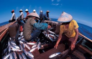 Kukar Siap Maksimalkan Potensi Produksi Ikan 250 Ton per Tahun !