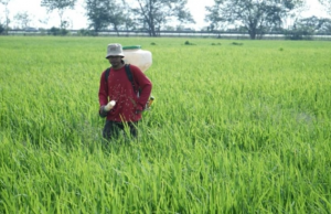 Inovasi Irigasi di Tenggarong Seberang Dorong Produktivitas Pertanian