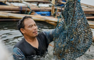 DKP Kukar Dorong Pengembangan Budidaya Kerang di Muara Badak