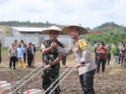Kapolda Kaltim: Perawatan Optimal Kunci Keberhasilan Penanaman Jagung