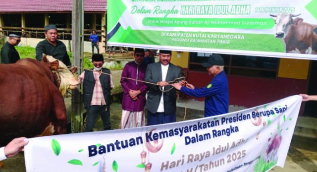 Bupati Edi Damansyah Serahkan Sapi Bantuan Presiden dan Pemkab Kukar Kepada Bapel Masjid Agung