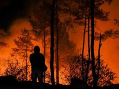 Karhutla Meluas di Kaltim, 413 Titik Kebakaran Hanguskan Hampir 937 Hektare Lahan