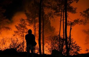 Karhutla Meluas di Kaltim, 413 Titik Kebakaran Hanguskan Hampir 937 Hektare Lahan