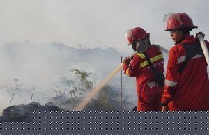 Diguyur Hujan Alami Titik Api Karhutla di TNBS Jambi Mulai Padam